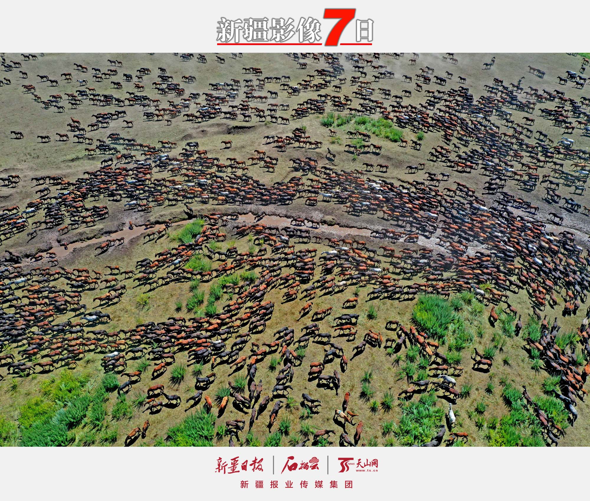 7月16日，第三十屆中國新疆伊犁天馬國際旅游節(jié)在昭蘇縣卡爾坎特大草原上開幕。此屆天馬節(jié)以“策馬相約三十載 攜手喜迎二十大”為主題，彰顯天馬文化、弘揚時代精神，推動昭蘇縣作為國家全域旅游示范區(qū)建設(shè)的戰(zhàn)略升級。李文武攝