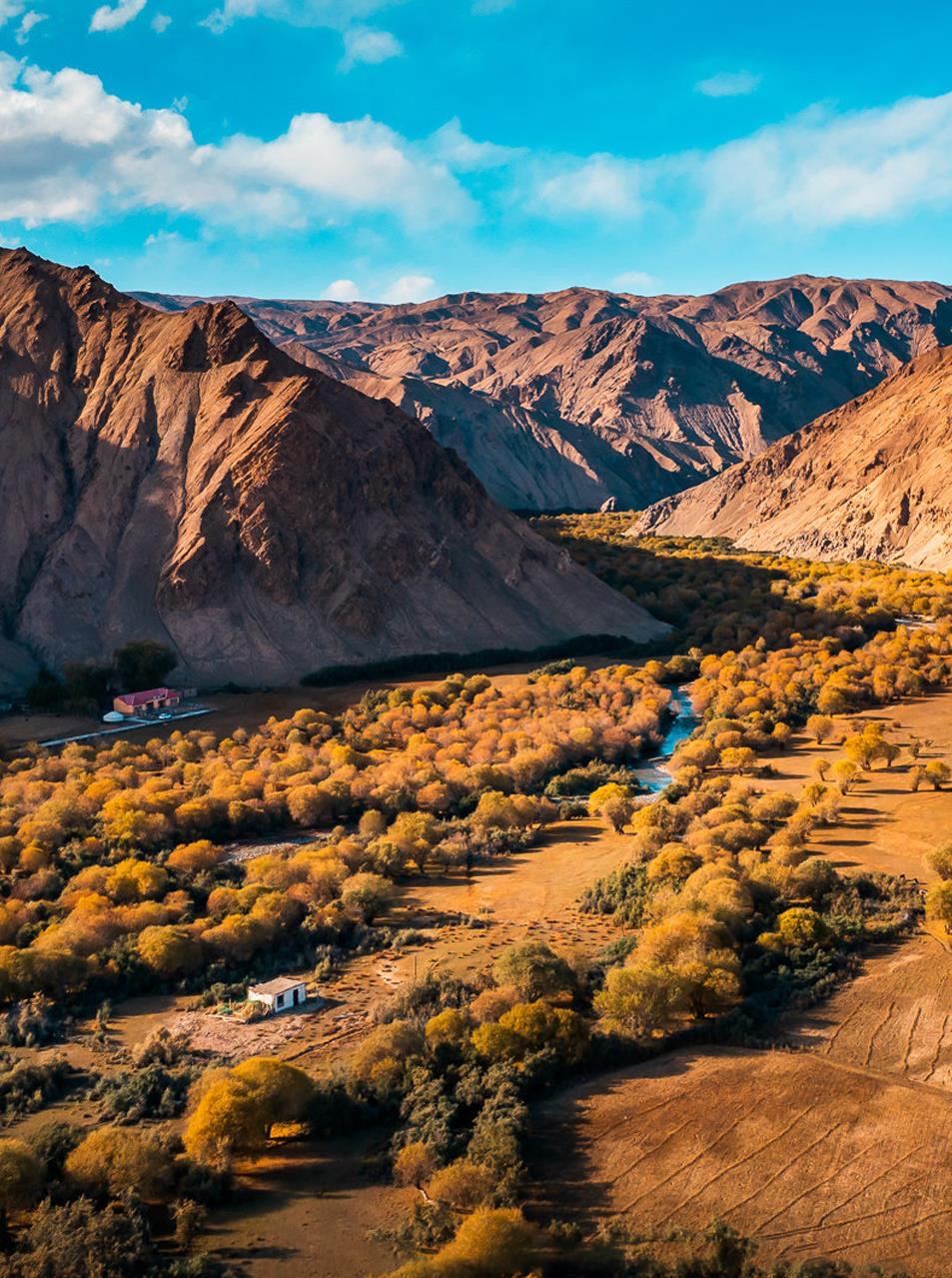 坎兒洋大峽谷秋日美景。壯美帕米爾公眾號(hào)