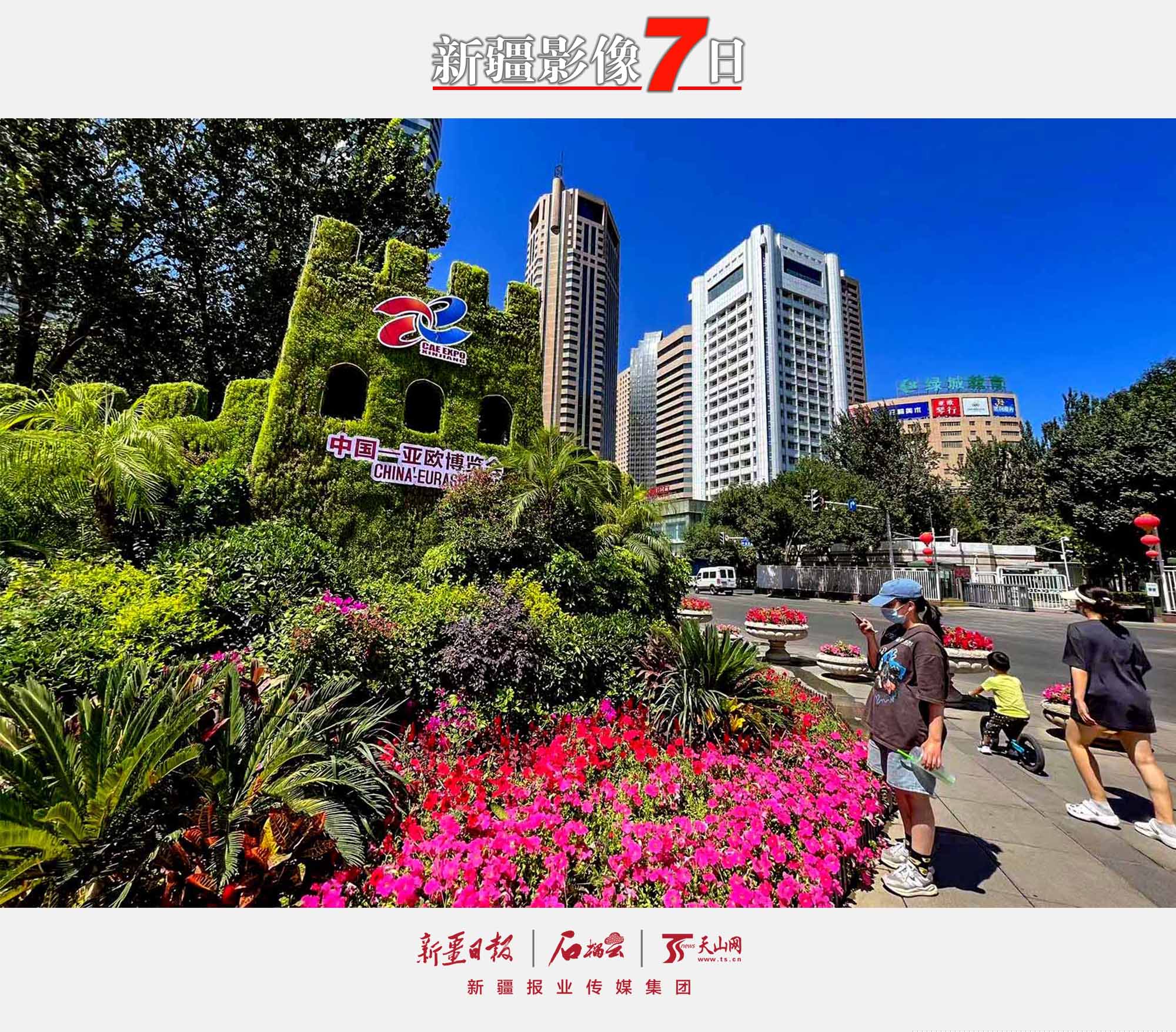 8月7日，市民在烏魯木齊人民廣場的第七屆中國—亞歐博覽會主題花壇前拍照。隨著第七屆中國—亞歐博覽會的臨近，烏魯木齊市各主要路口擺放了以第七屆中國—亞歐博覽會為主題的鮮花花壇，成為一道美麗的風景線。石榴云/新疆日報記者 約提克爾·尼加提攝