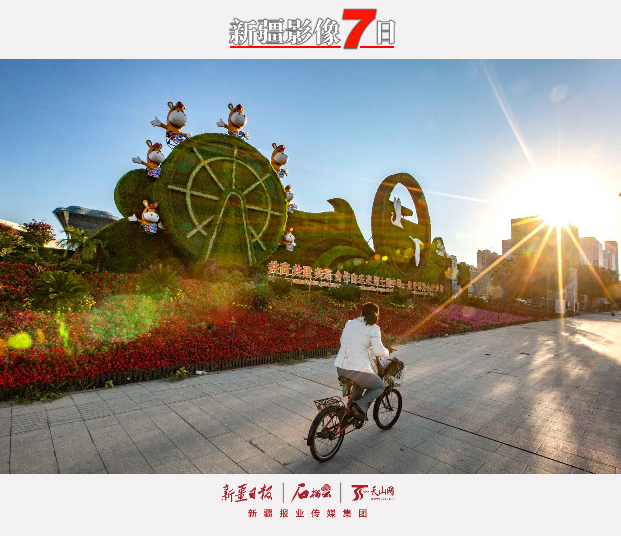9月15日，一位市民騎車從烏魯木齊市紅光山路邊的第七屆中國—亞歐博覽會主題花壇旁駛過。 隨著第七屆中國—亞歐博覽會的臨近，烏魯木齊市100多組主題花壇相繼擺放到位，大街小巷花團錦簇。石榴云/新疆日報記者蔡增樂攝