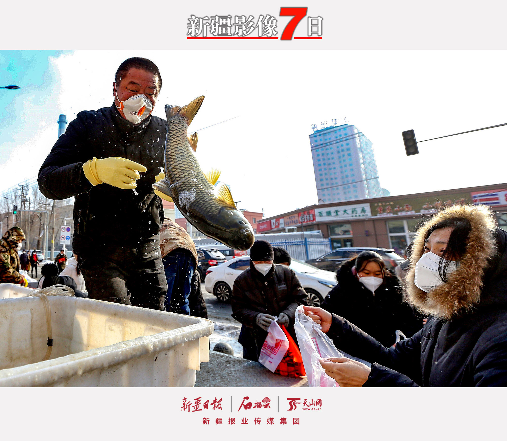 11月29日，市民在烏魯木齊市天山區(qū)堿泉三街購買草魚。近日，烏魯木齊市穩(wěn)步有序恢復(fù)正常生產(chǎn)生活秩序。石榴云/新疆日報記者　李瑞　攝