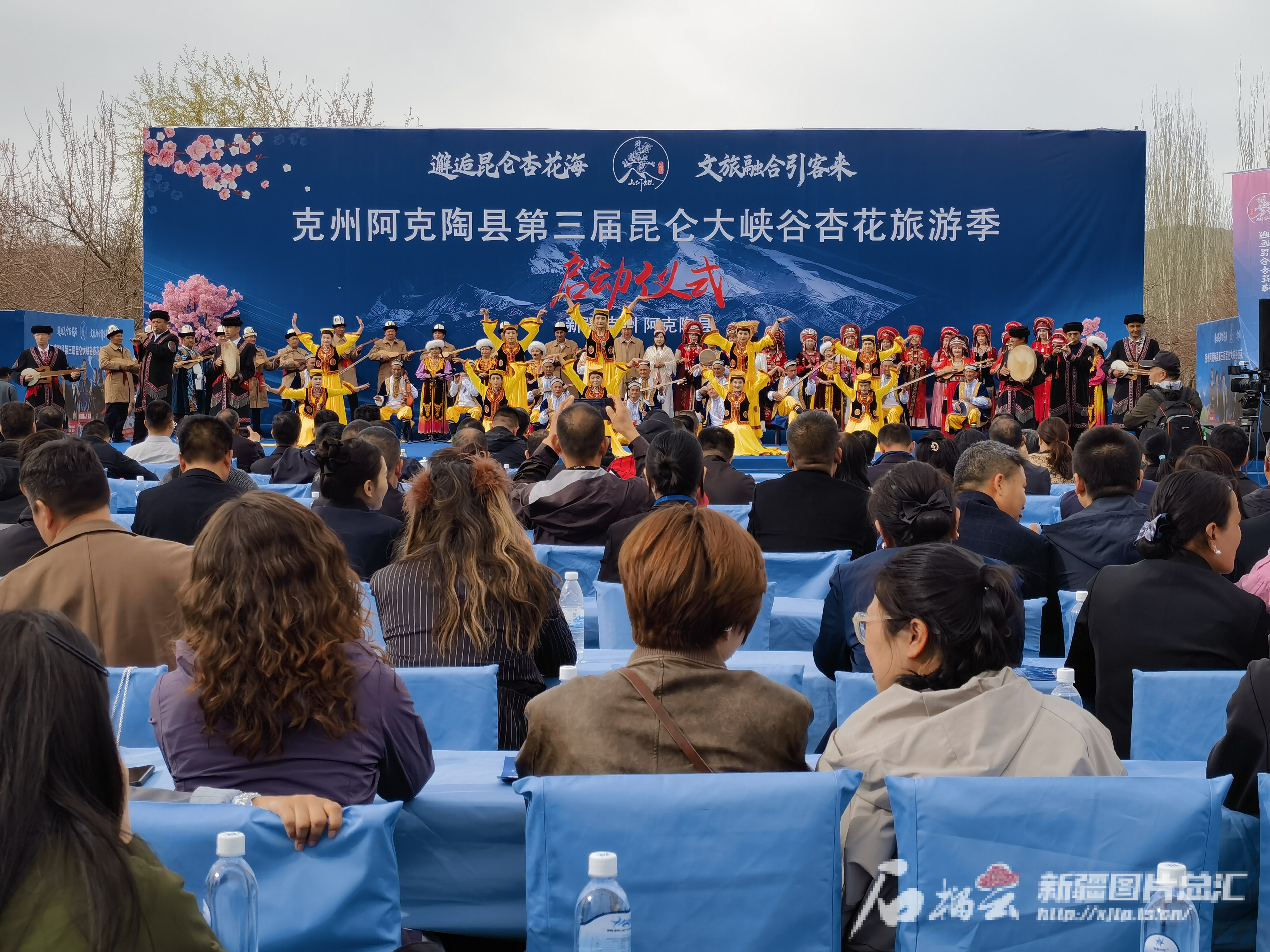 IMG_20250326_114015