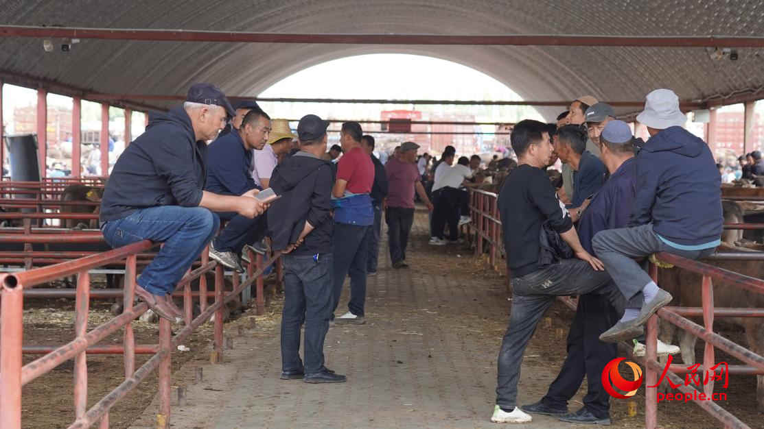 黃公巴扎的活畜交易區(qū)。人民網(wǎng) 李龍攝