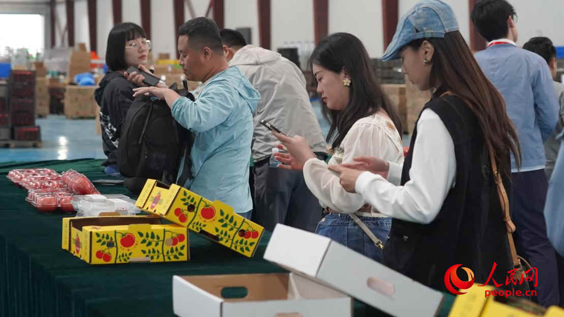 參加活動的正能量網(wǎng)絡(luò)名人代表正在拍攝展示的番茄產(chǎn)品。人民網(wǎng) 李龍攝