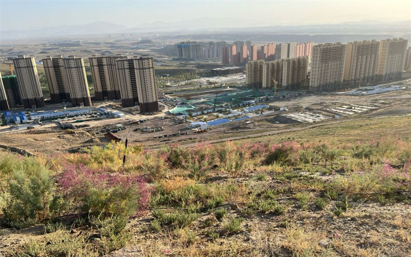 烏魯木齊大泉湖煤田火區(qū)治理后，地表植被得以恢復(fù)。新疆應(yīng)急管理廳供圖