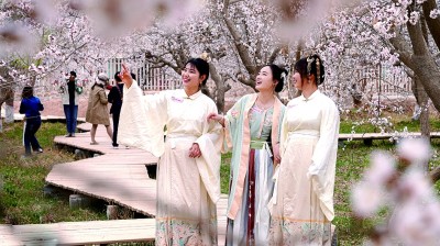 【文化中國(guó)行】在新疆尋找春天
